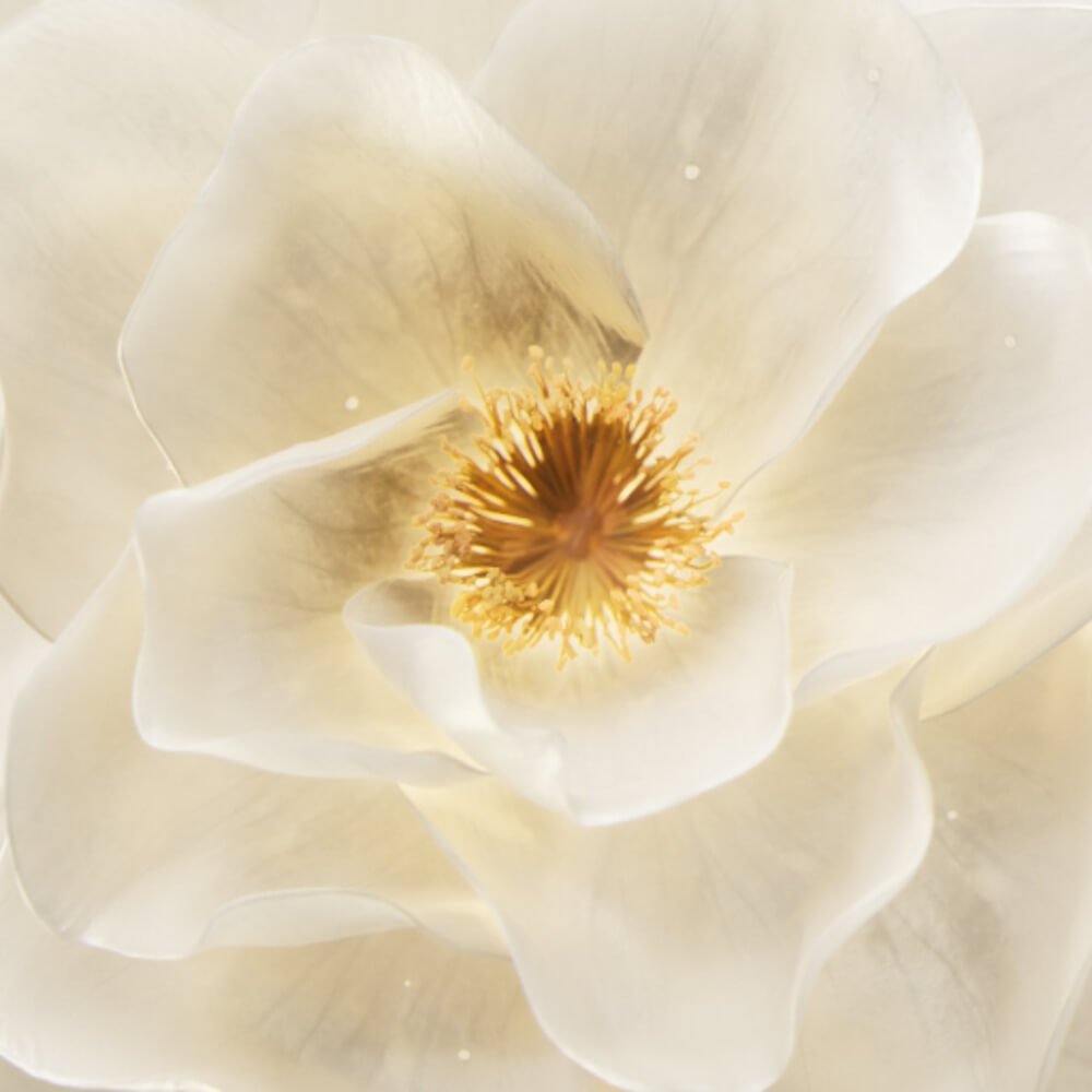 Kerastase_Elixir4