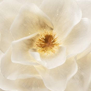 Kerastase_Elixir4